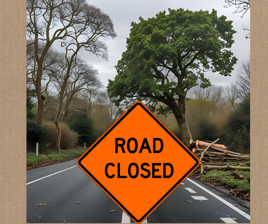 Tree Work Road Closed